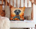 Weimaraner Fall Throw Pillow Machine Washable, Indoor Outdoor Decorative Pillow for Couch, Bed or Patio, 14Hx14W