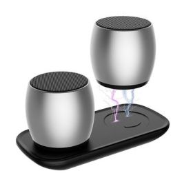 Sound Of Love Duet Dual Speakers (Color: BLACK)