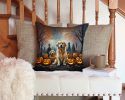 Golden Retriever Spooky Halloween Throw Pillow Machine Washable, Indoor Outdoor Decorative Pillow for Couch, Bed or Patio, 14Hx14W